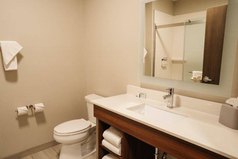 Holiday Inn Express & Suites MCCALLA - BIRMINGHAM WEST by IHG 2
