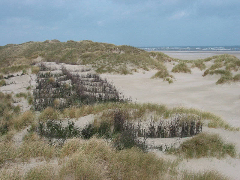 Akzent Hotel Seehof 2