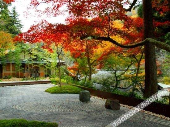 Hoshinoya 2