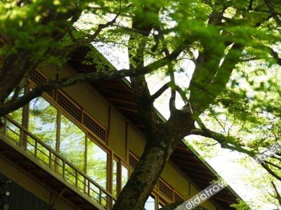 Hoshinoya 1