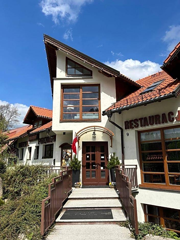 Hotel Promyk Wellness & Spa 1