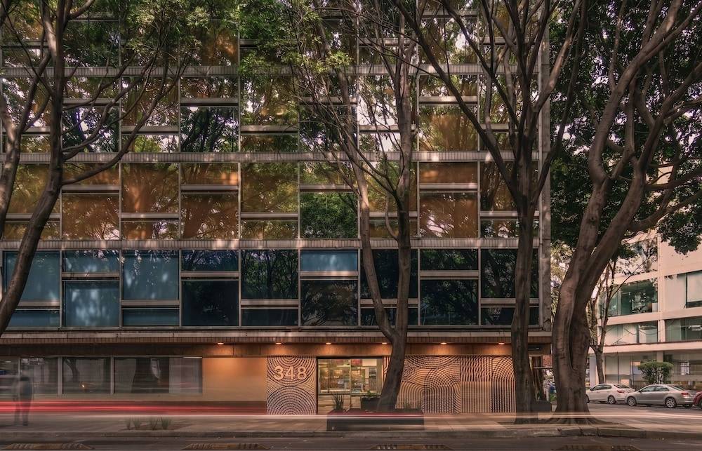 Kukun Insurgentes Roma 1