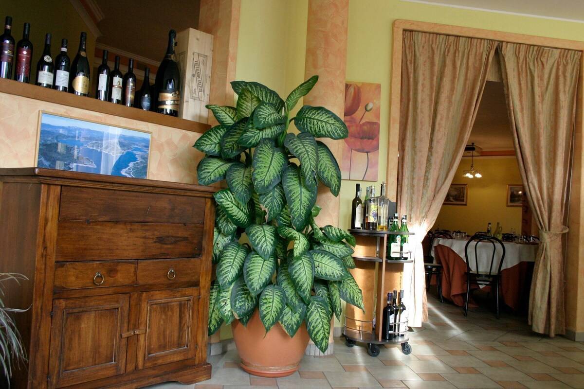 Hotel Giampy 1
