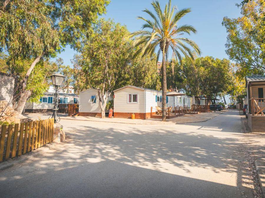 HolaCamp Sant Salvador 1