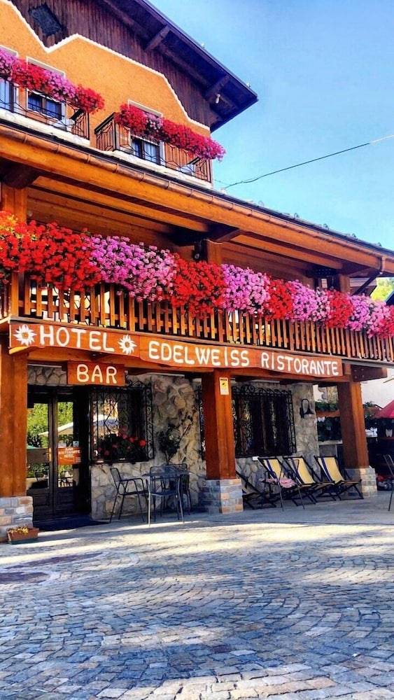 Hotel Edelweiss 1