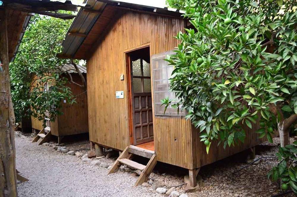 Olympos Yakamoz Pansiyon 1