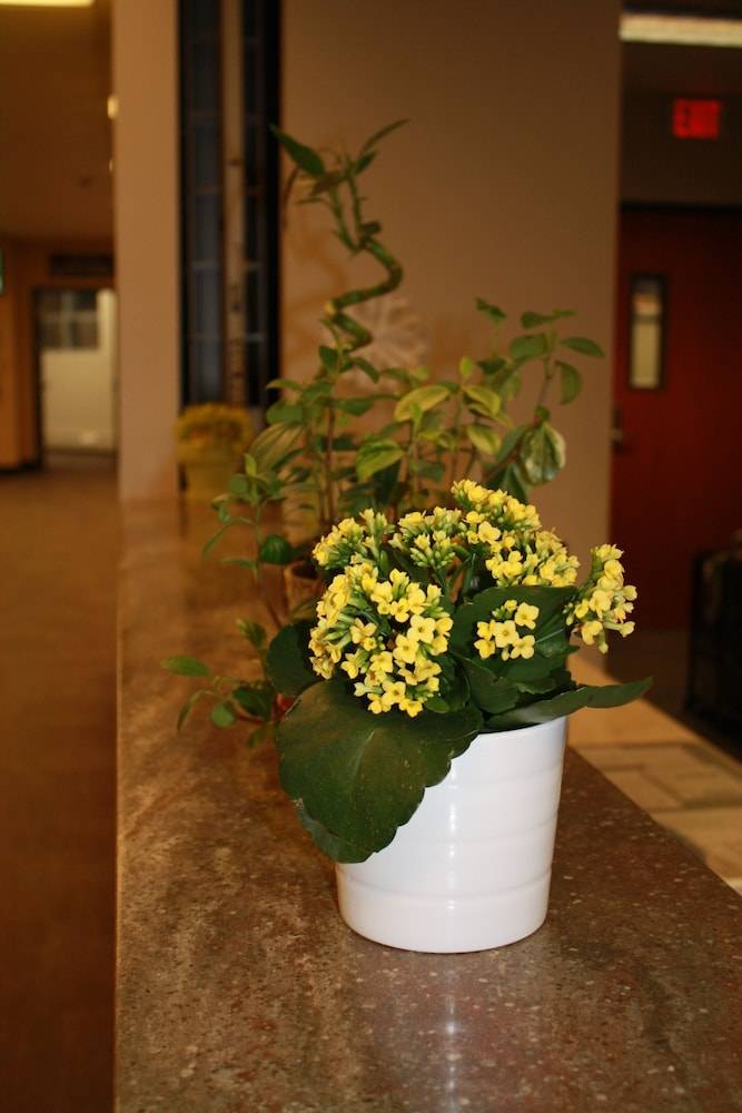 University of Alberta - Guest Accommodation 2