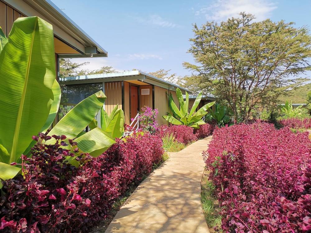 Jambo Mara Safari Lodge 1
