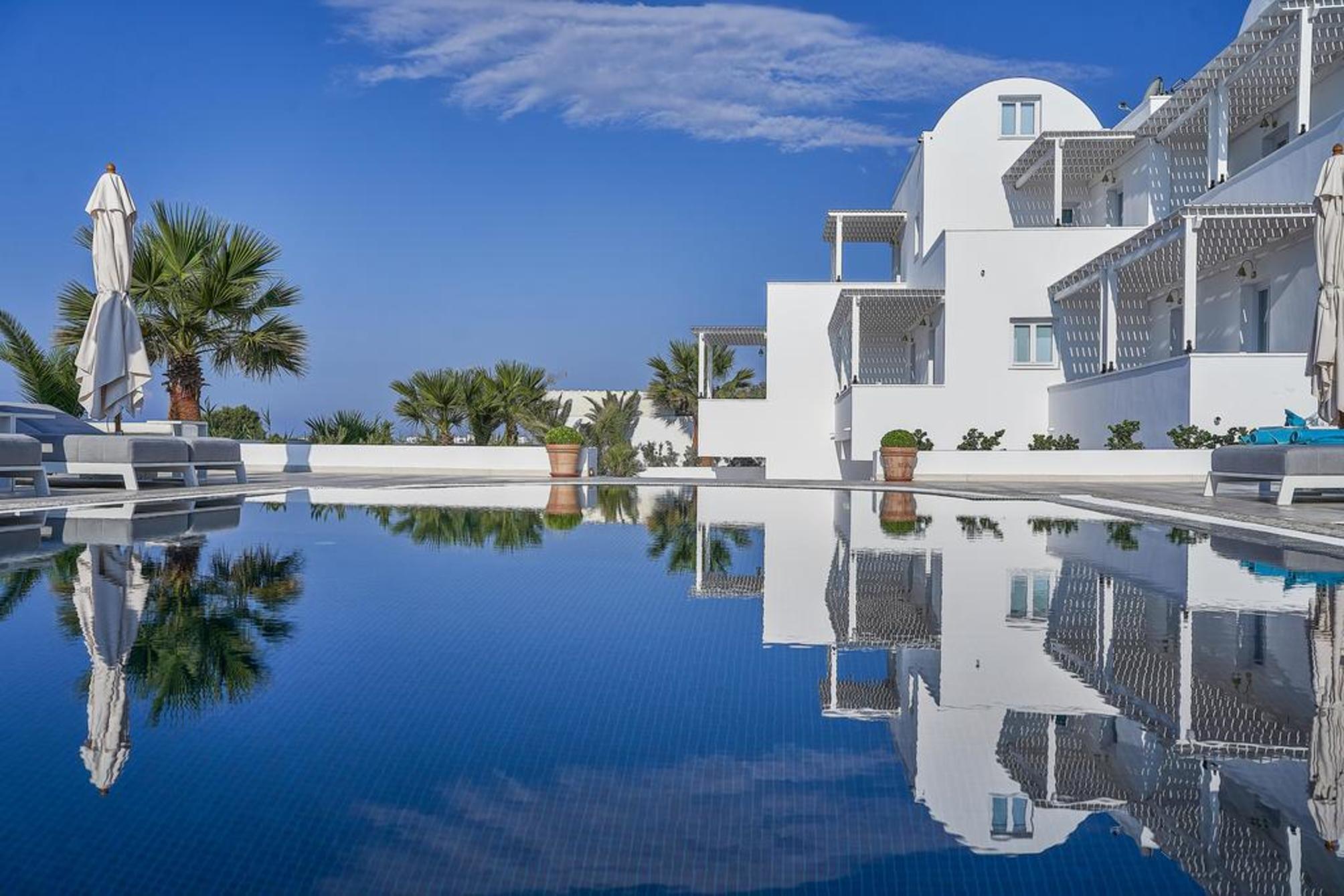 Petri Suites 1