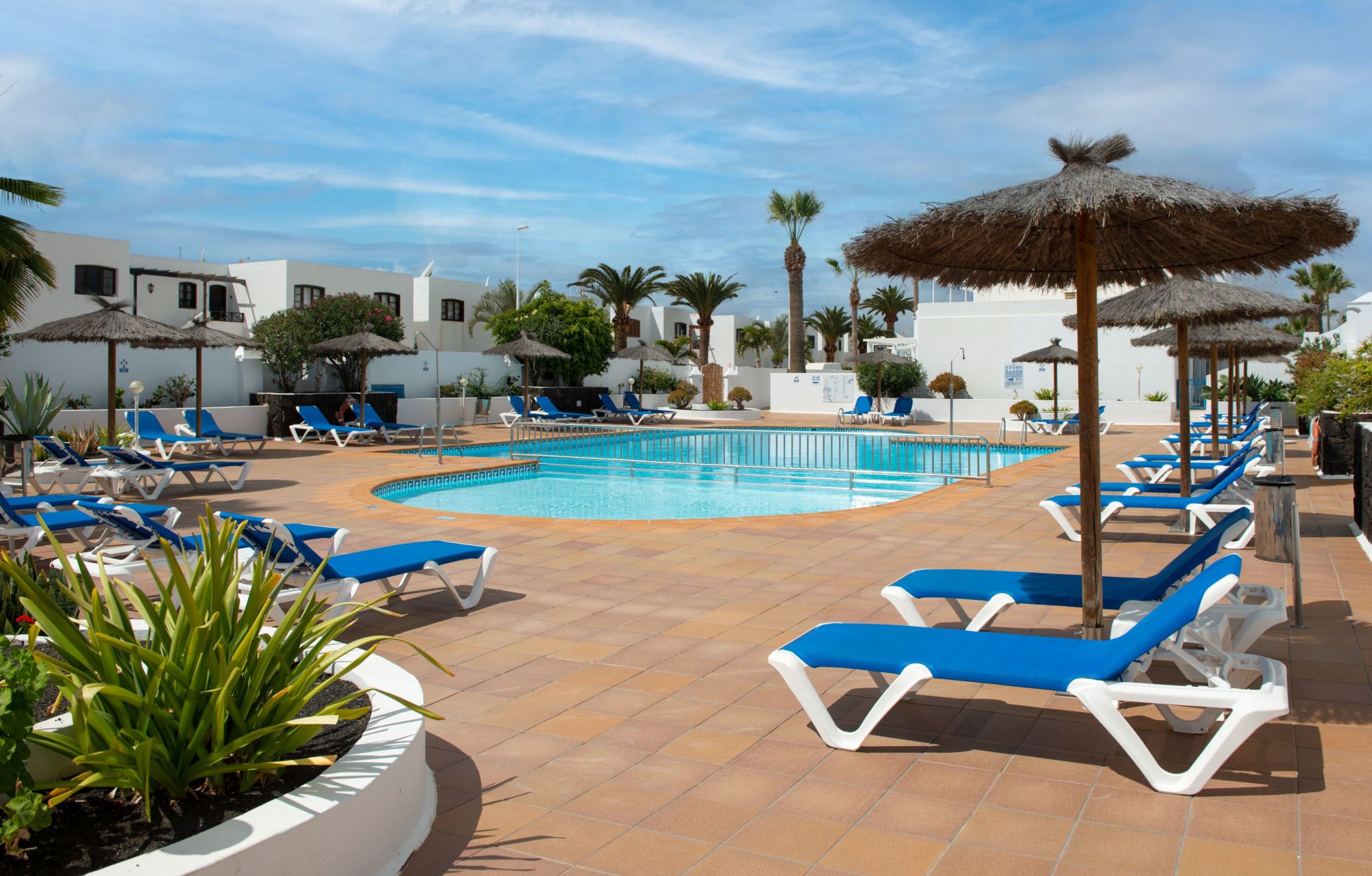 Apartamentos LIVVO Oasis 2