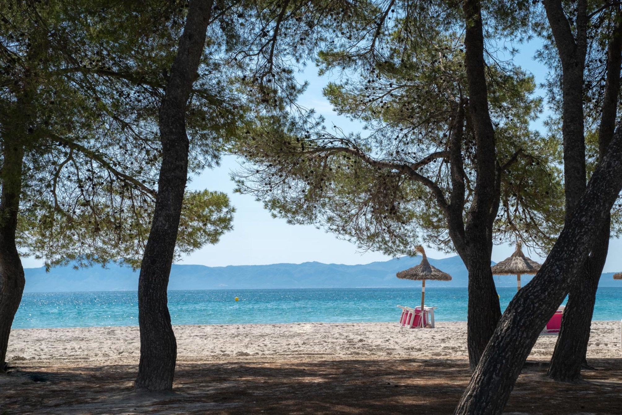 Apartamentos Caprice Playa de Alcudia 1
