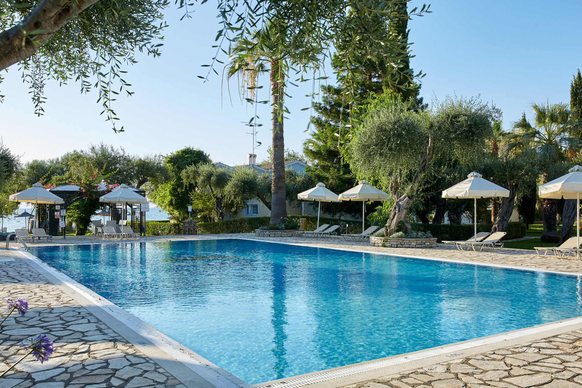 Delfinia Hotel 1