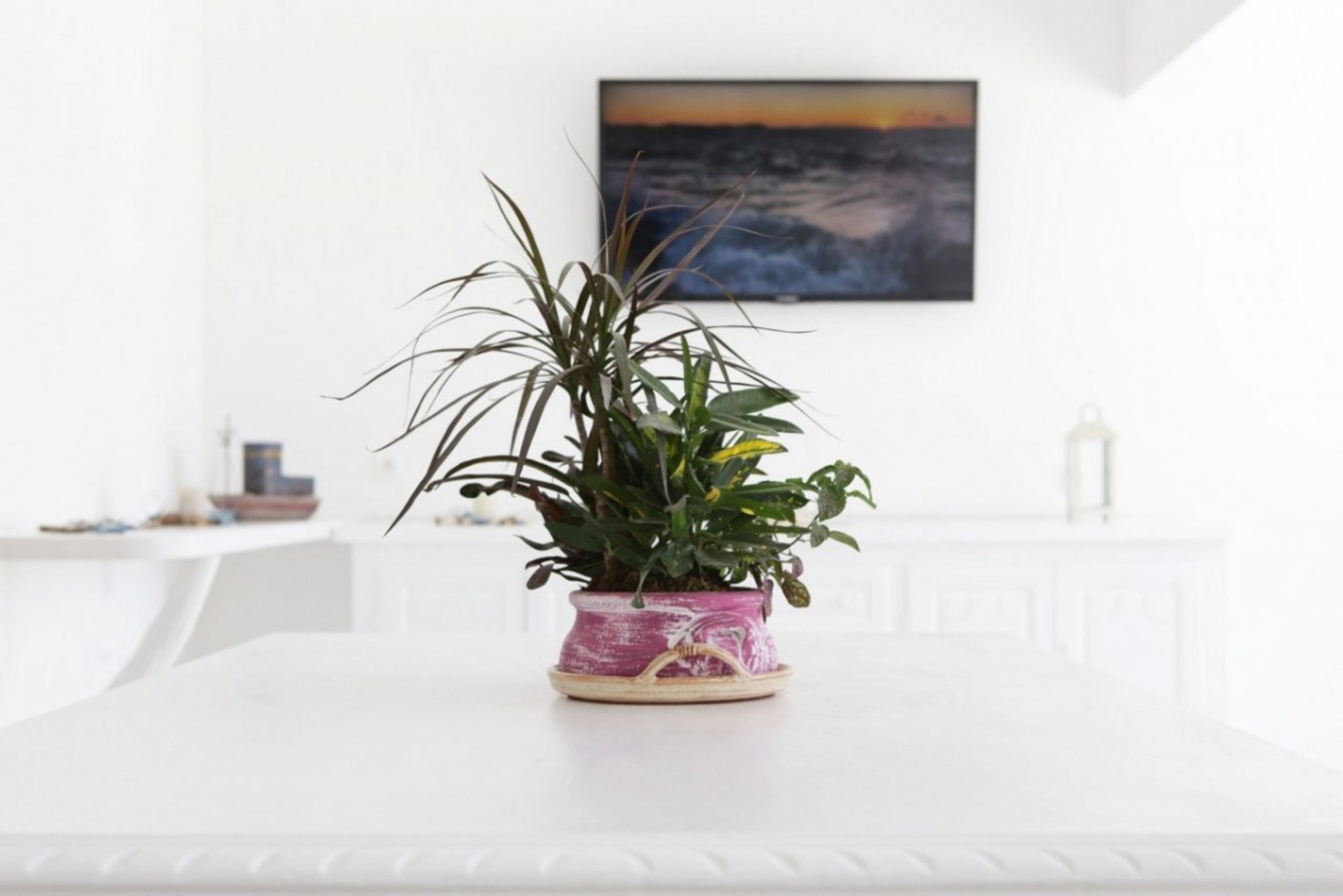 Chambre double / lits jumeaux avec vue sur la piscine