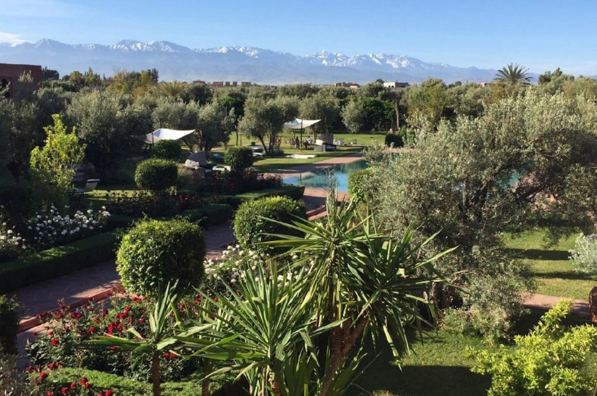 Les Jardins De Zyriab 1
