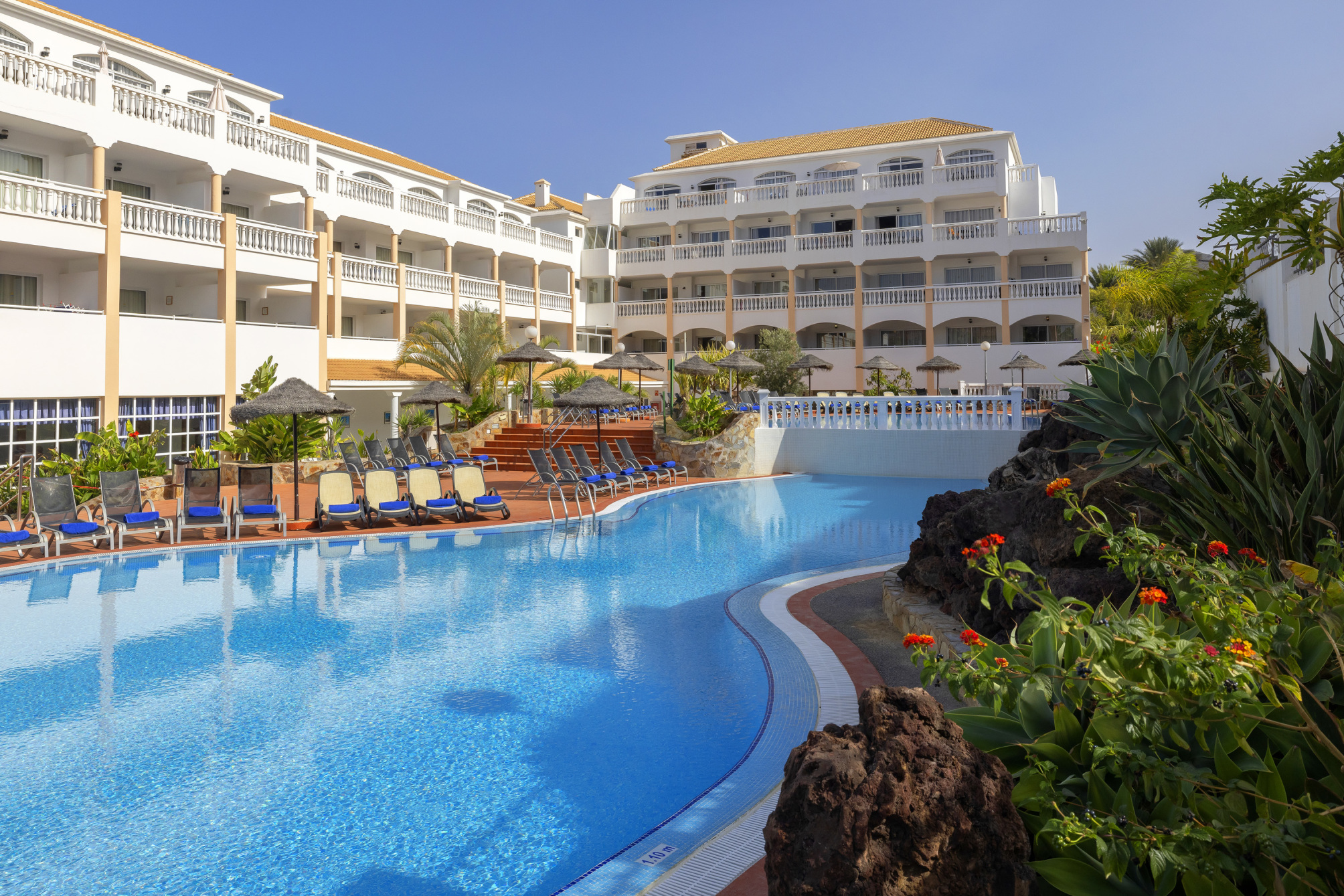 whala!tenerife 1