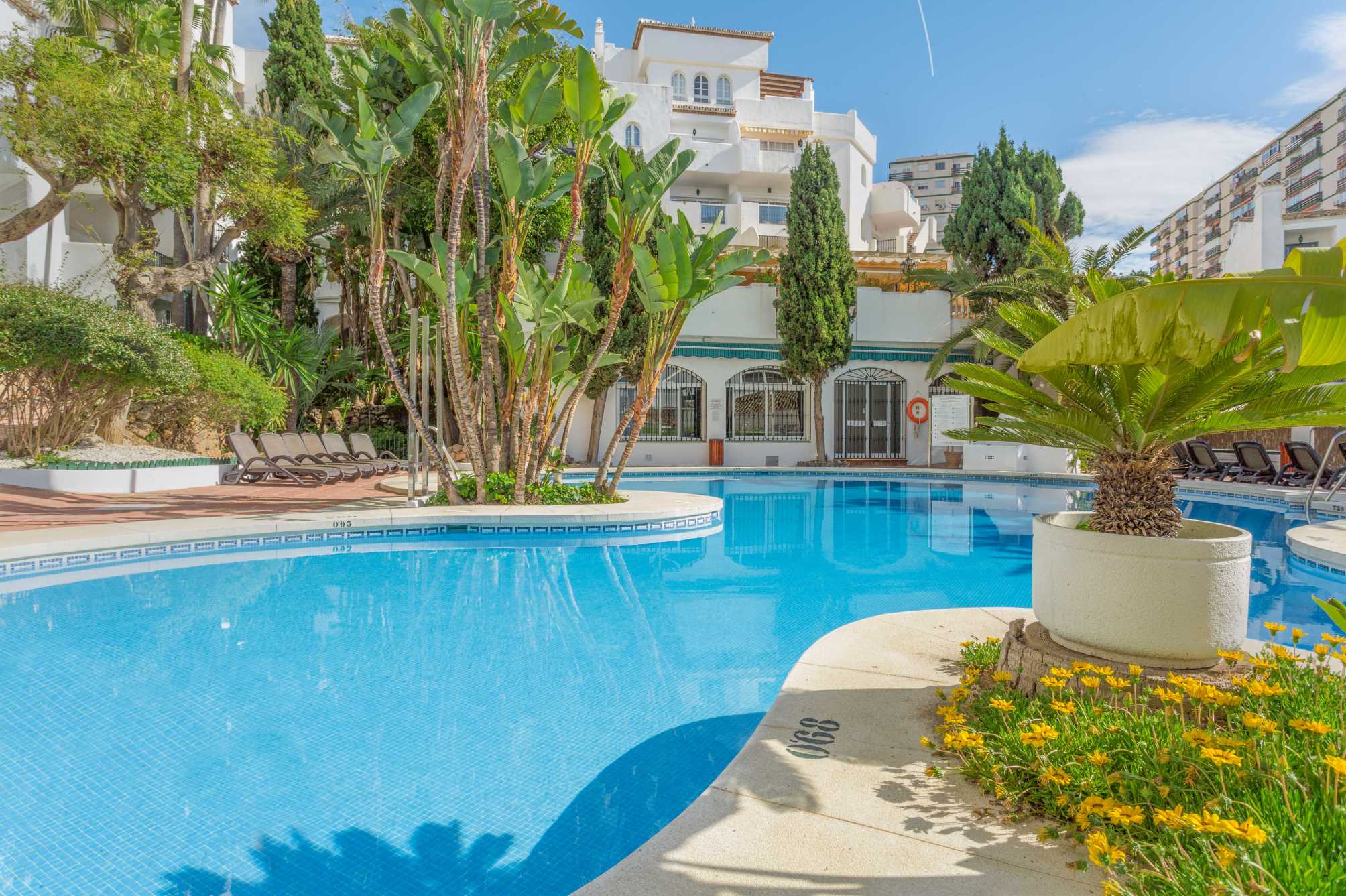 Royal Oasis Club at Pueblo Quinta 2