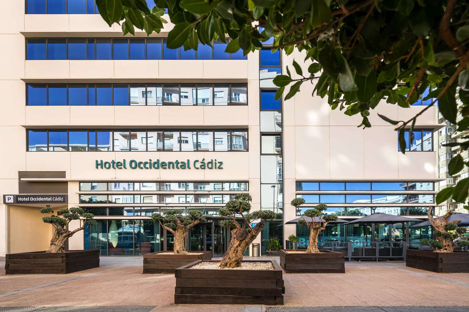 Occidental Cadiz 1