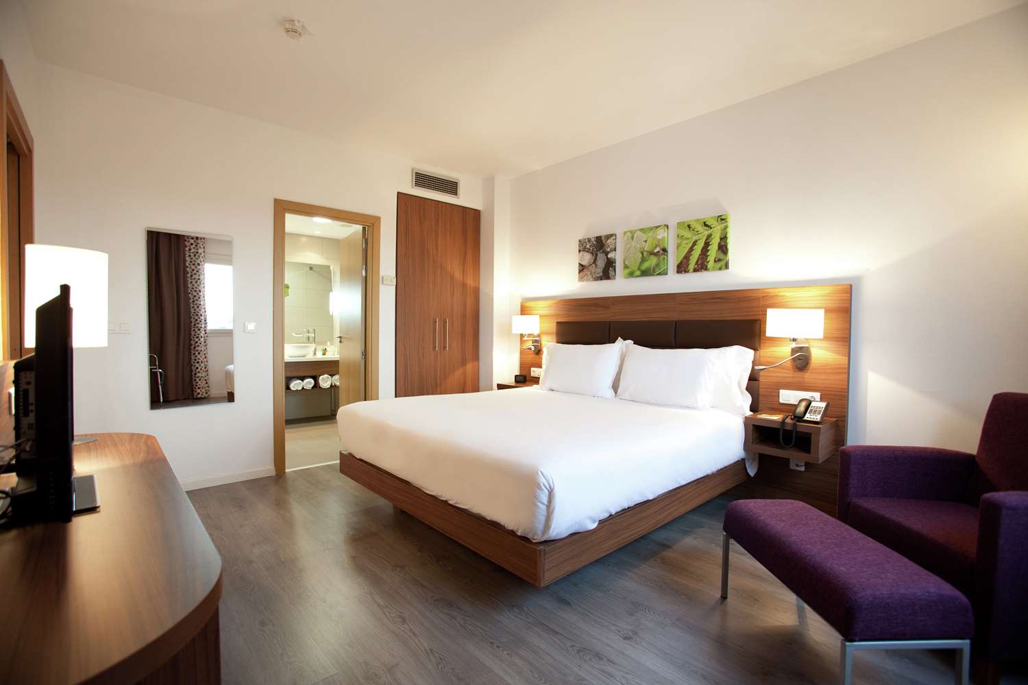 1 chambre Suite