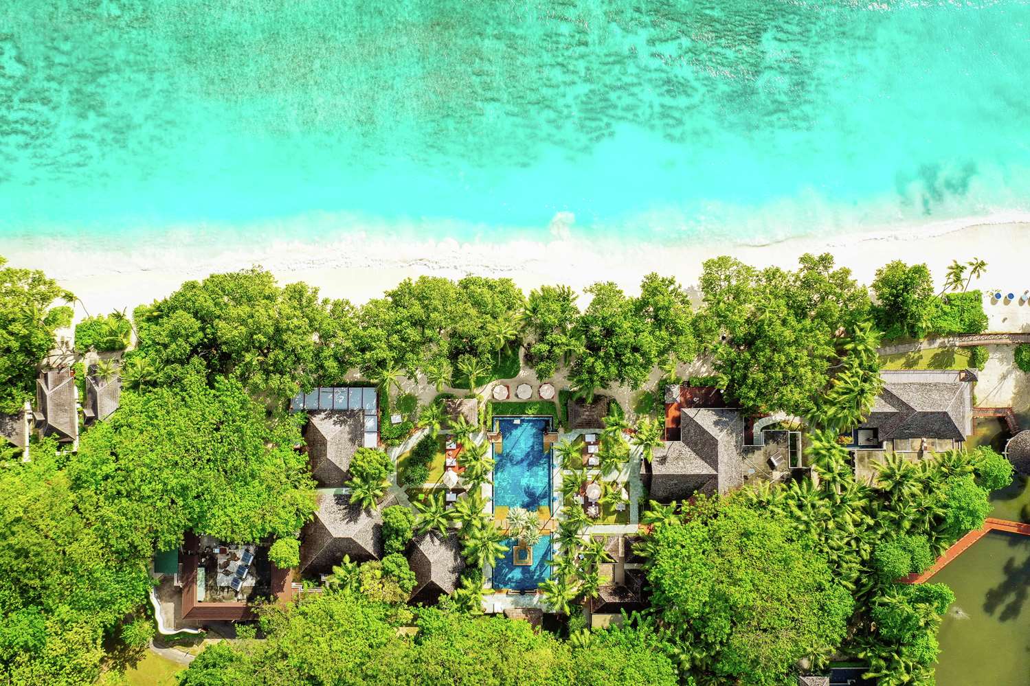 Niva Labriz Seychelles