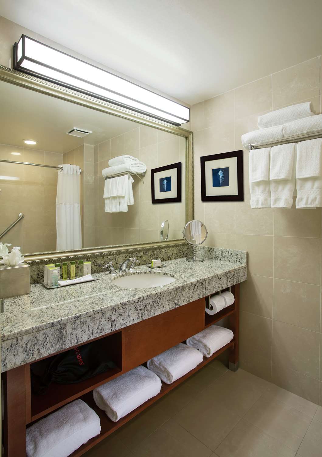 No fumador Junior Suite