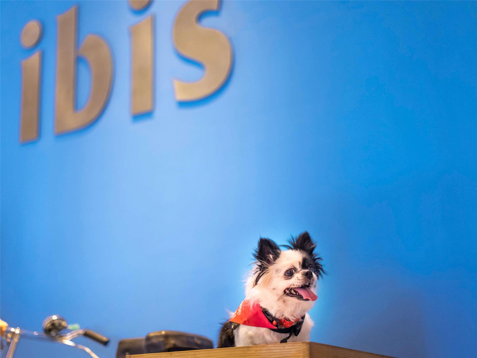 ibis Bengaluru Hosur Road - An Accor Brand 2