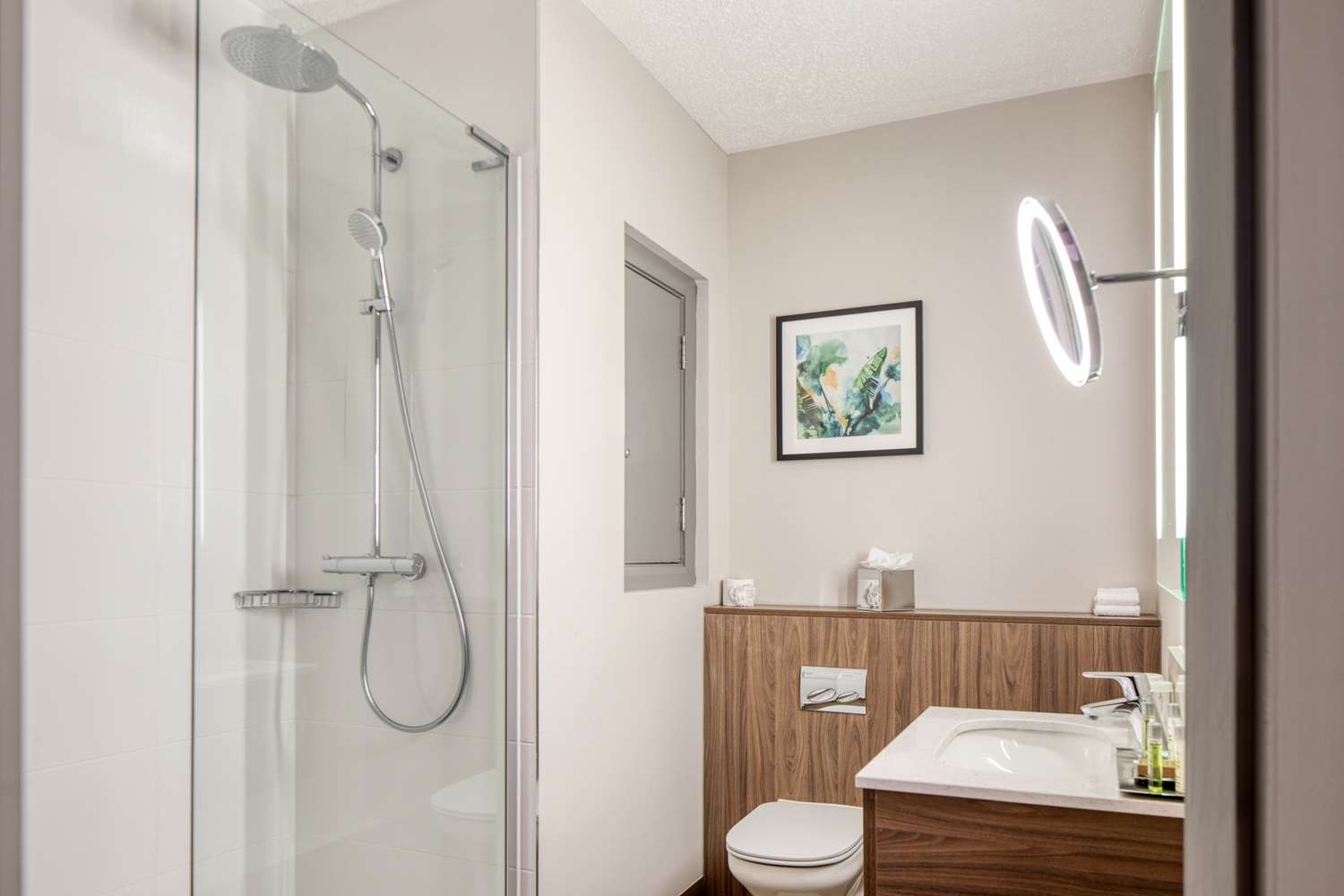 Premium Habitación