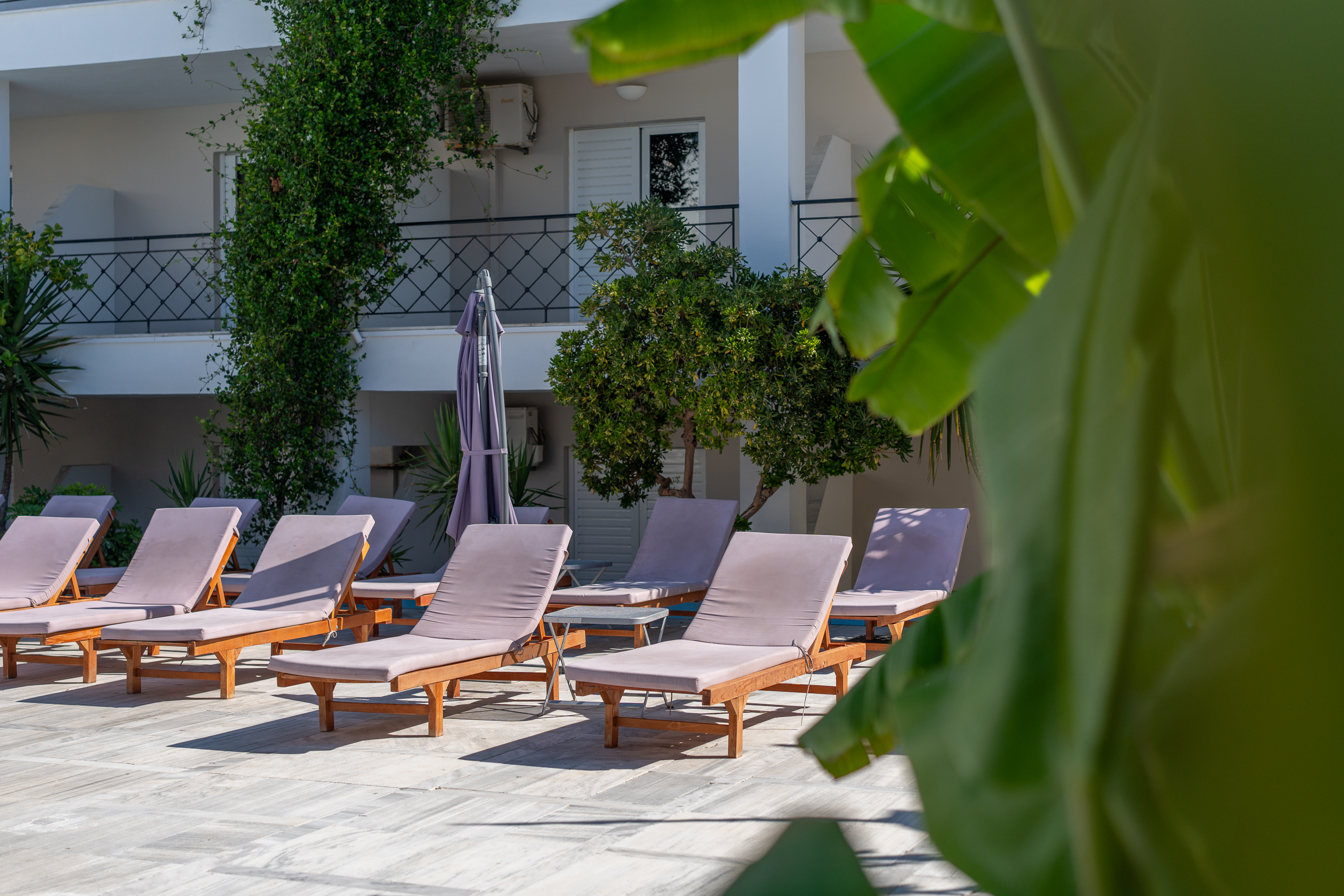 Mojo Hotel 2