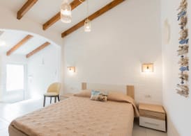 Bivalvia Beach Plus 5