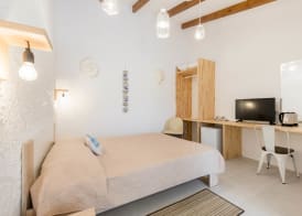 Bivalvia Beach Plus 3
