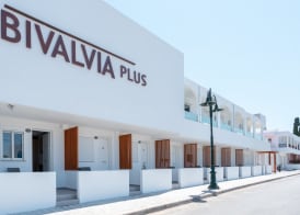 Bivalvia Beach Plus 2