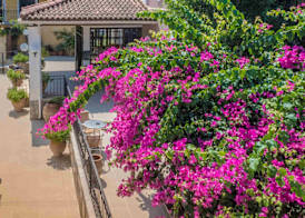 Krinas Hotel 4