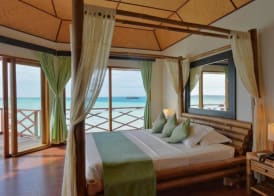 Safari Island 5