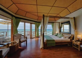 Safari Island 3