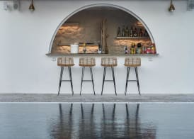 Petri Suites 5