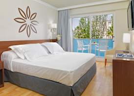 H10 Delfín - Adults Only 5