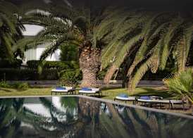 Tui Blue Oceana Suites 5