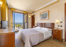Hotel Panorama 5