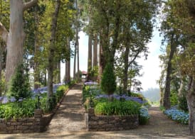 BIO Hotel - Hotel Quinta da Serra 3