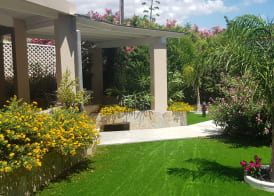 Palm Village 4