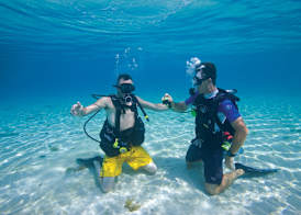 Occidental Cozumel 5