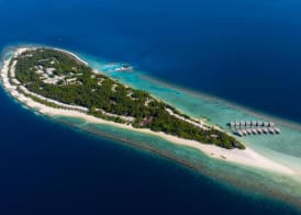 Niva Dhigali Maldives - A Premium All-Inclusive Resort 2