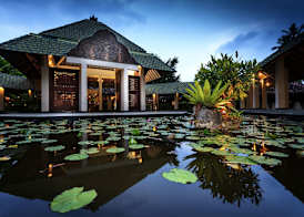 The Palms 4