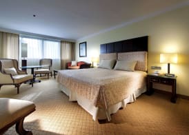Dominican Fiesta Hotel 5