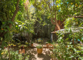Le Windsor, Jungle Art Hotel 5