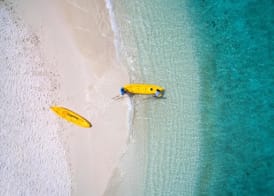 Plumeria Maldives 5