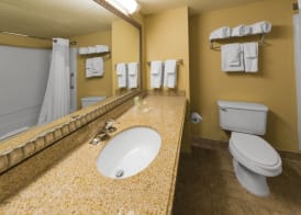 Holiday Inn & Suites ORLANDO SW - CELEBRATION AREA by IHG 5