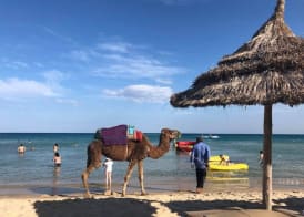 Le Hammamet Hôtel & Spa 5