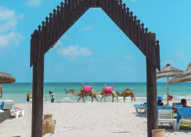 Fiesta Beach Club 4