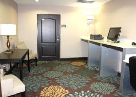 Holiday Inn Express & Suites HOUSTON IAH - BELTWAY 8 by IHG 4