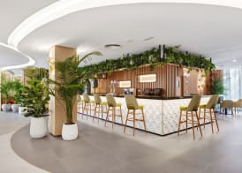 Hotel Riu Concordia 4